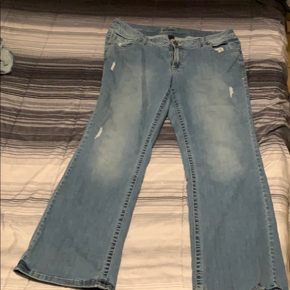 Lane Bryant jeans